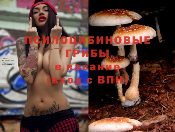 мескалин Аркадак